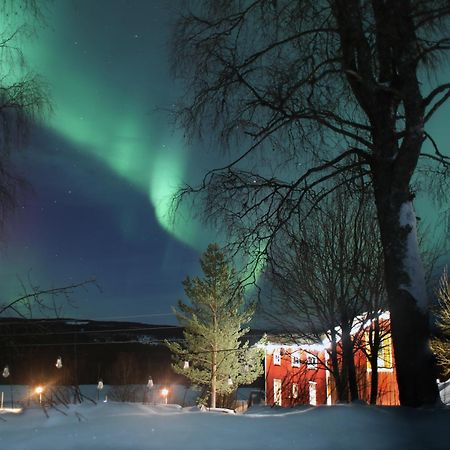 Cozy Stuga - Mountain View Ramsele Exterior foto