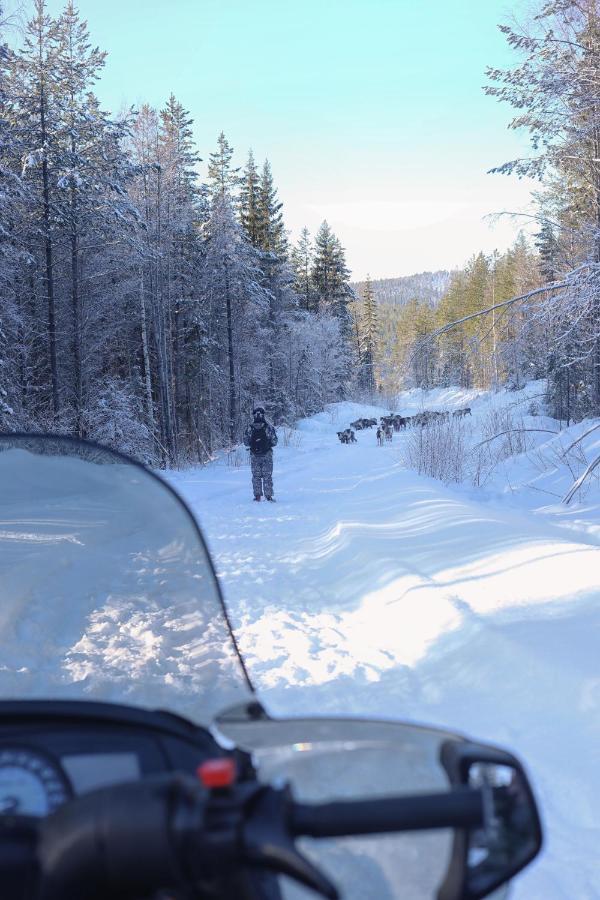 Cozy Stuga - Mountain View Ramsele Exterior foto