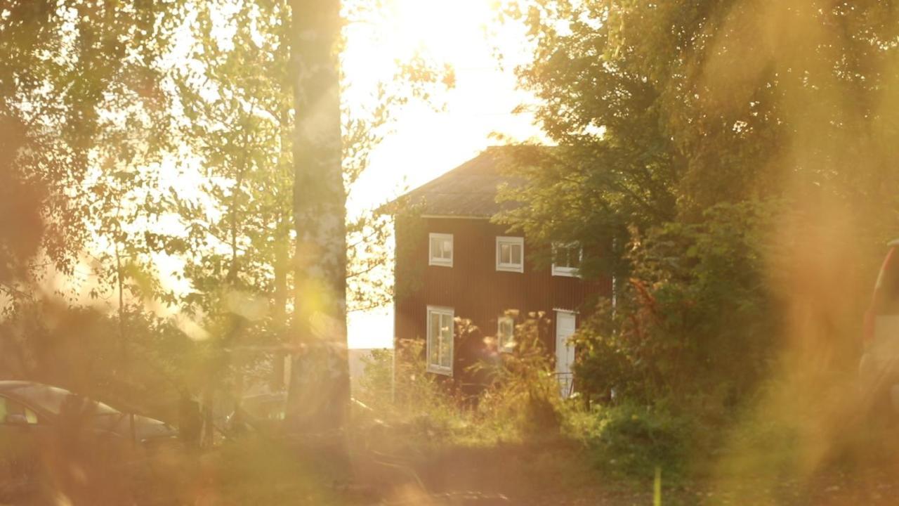 Cozy Stuga - Mountain View Ramsele Exterior foto