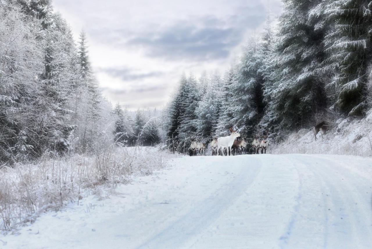 Cozy Stuga - Mountain View Ramsele Exterior foto
